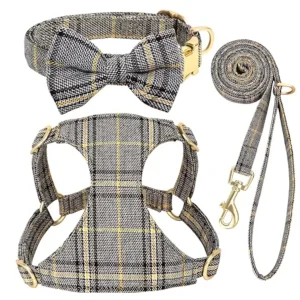 Extra Small Dog Harness Collar and Leash Set - Thumbnail Image 11