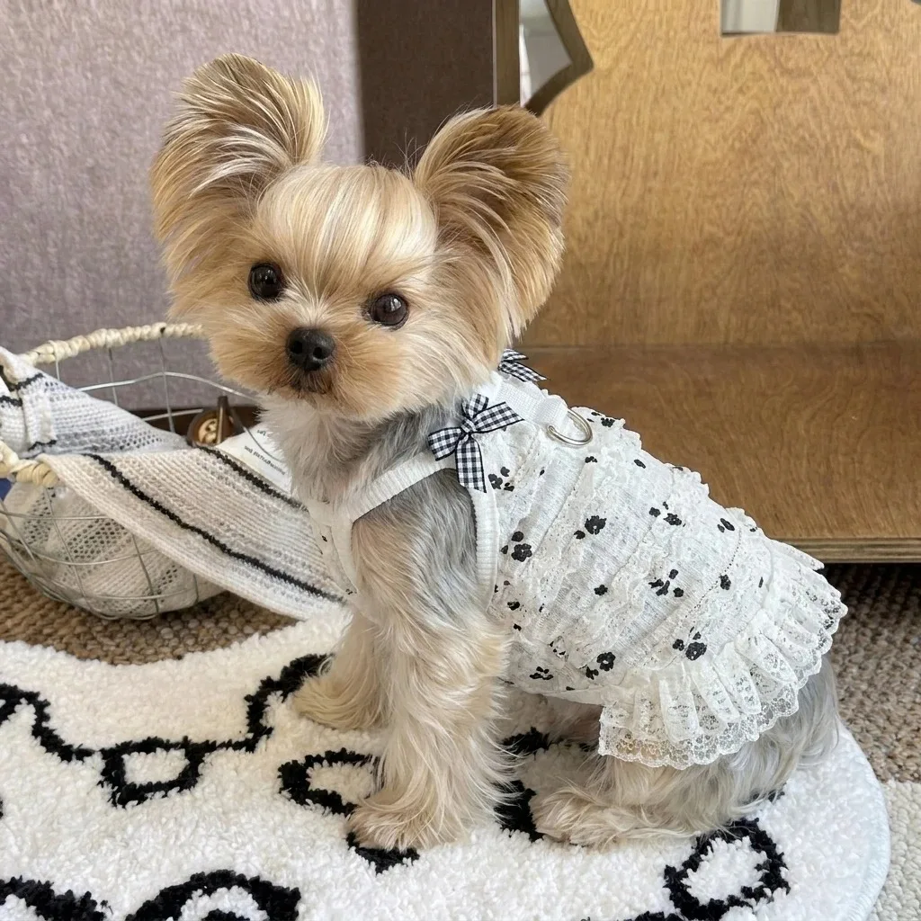 Pet Dress Puppy Outfit - Image 6