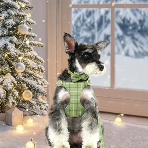 Extra Small Dog Harness Collar and Leash Set - Thumbnail Image 4