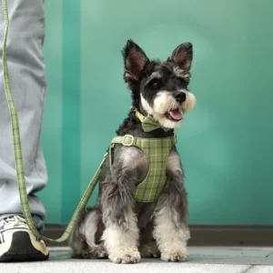 Extra Small Dog Harness Collar and Leash Set - Thumbnail Image 3