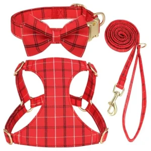 Extra Small Dog Harness Collar and Leash Set - Thumbnail Image 6