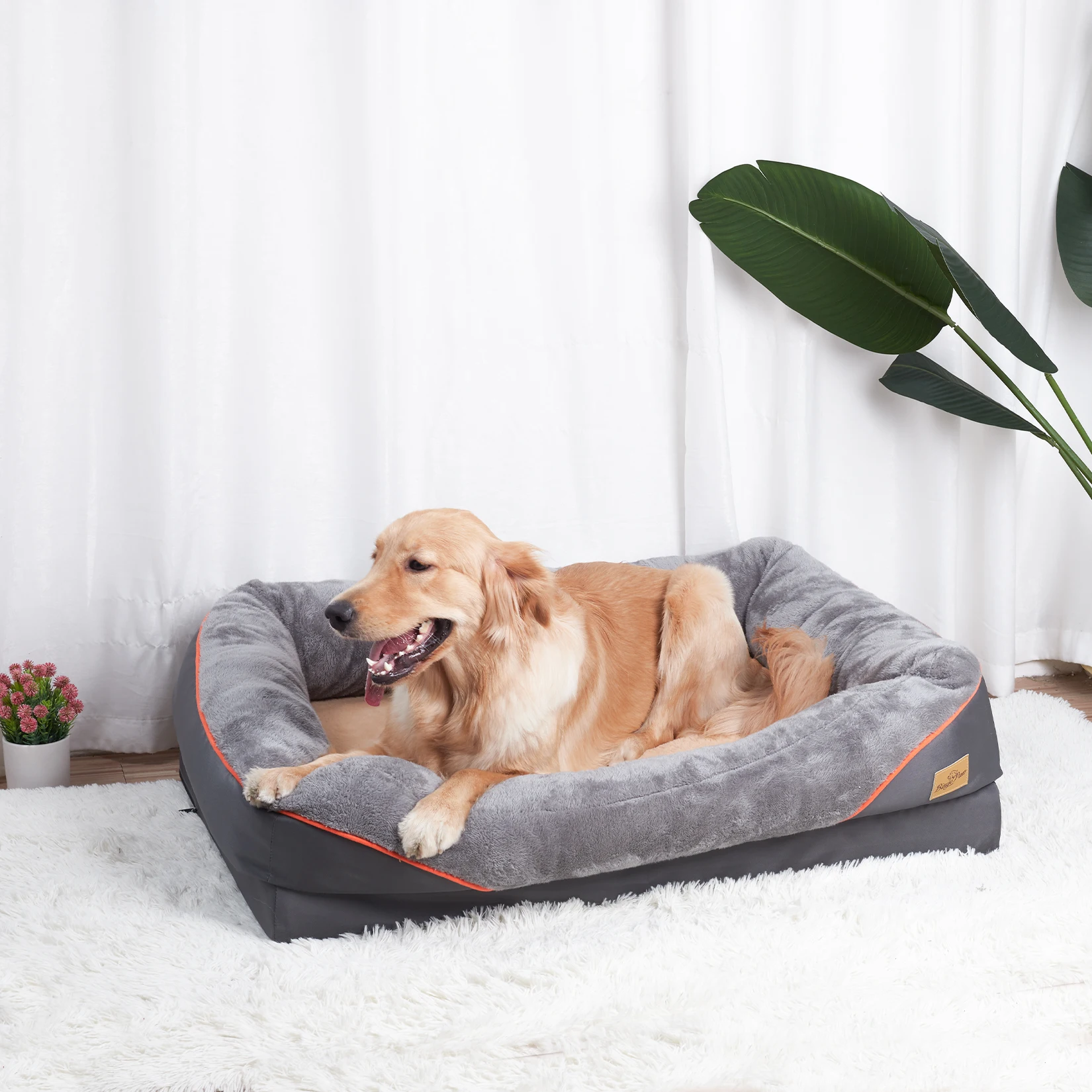 Large Dog Bed  Anti Allergy - Image 3