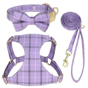 Extra Small Dog Harness Collar and Leash Set - Thumbnail Image 7