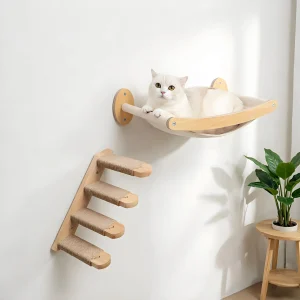 Cat Hammock and Stairway