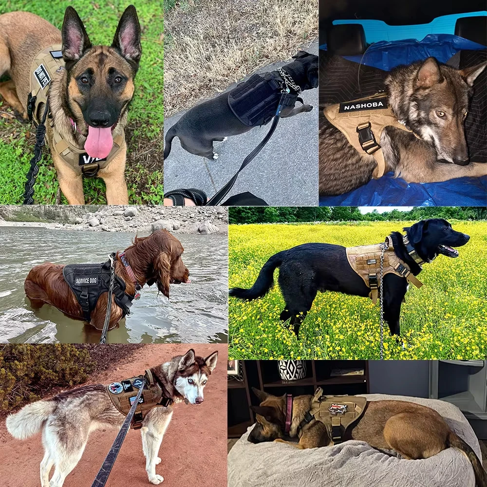 Military Large Dog Harness Collar Tactical  Harnesses Accessories - Image 6
