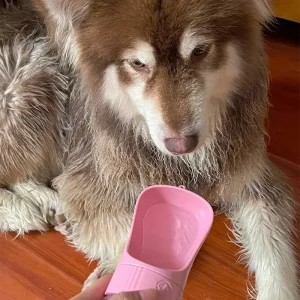 Dog Water Bottle With Food Container - Thumbnail Image 5
